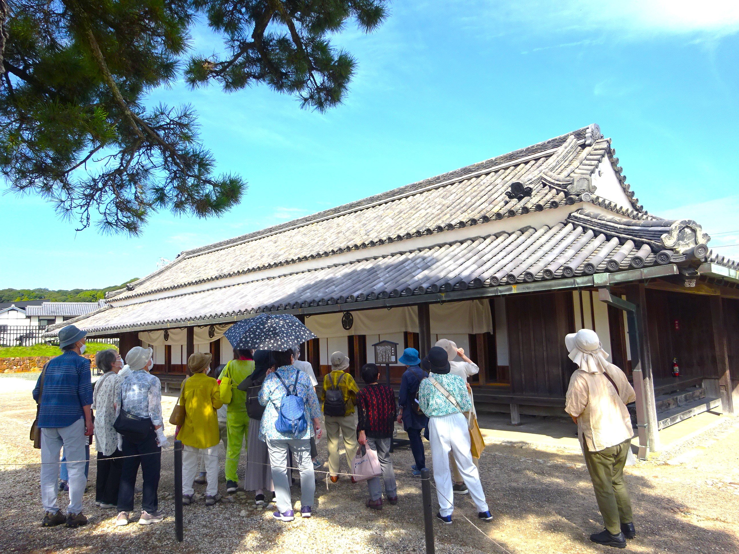 DSC00788.JPG