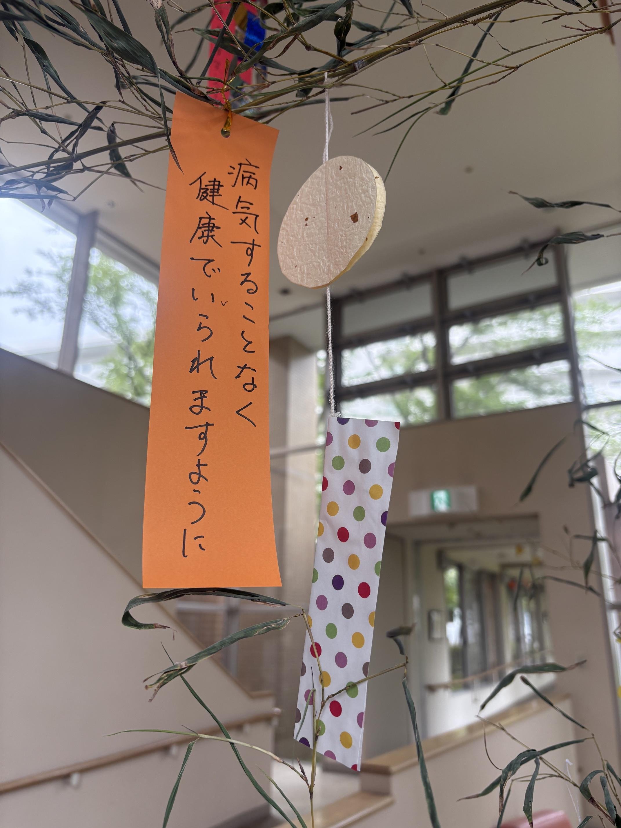 IMG_3973.jpeg