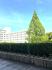 IMG_7946.jpeg