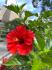 IMG_8919.jpeg