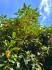 IMG_0057.jpeg