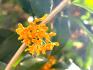 IMG_0055.jpeg