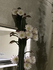 image0250825.png