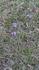 PXL_20260426_072729049260427.jpg