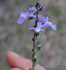 image26047.png