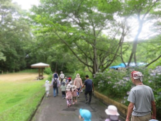 IMG_8820.JPG