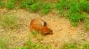 DSCN4166.JPG low.JPG