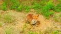 DSCN4196.JPG low.JPG