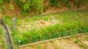 DSCN4163.JPG low.JPG