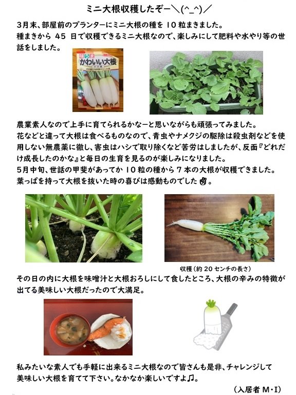 大根ブログ.jpg