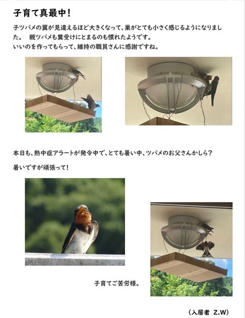 子育て中①.jpg