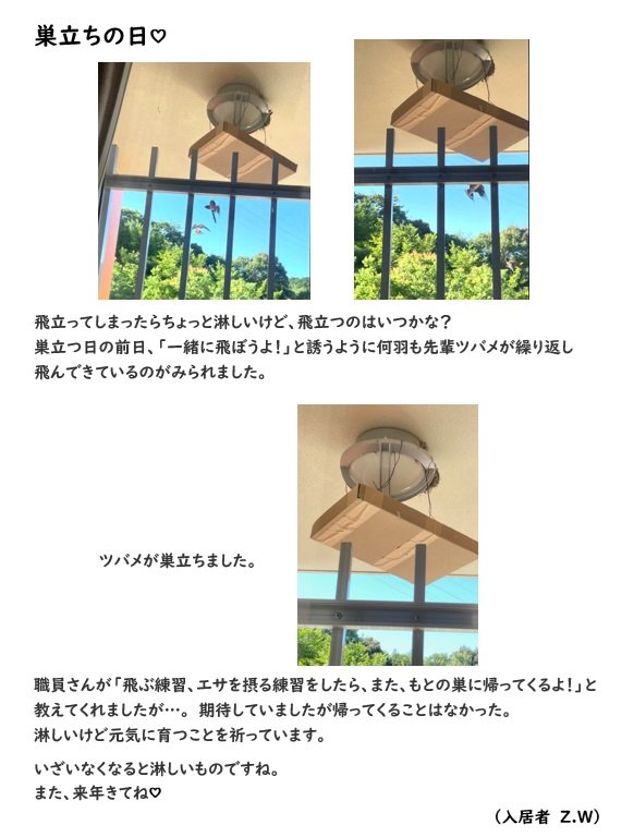 巣立ちの日①.jpg