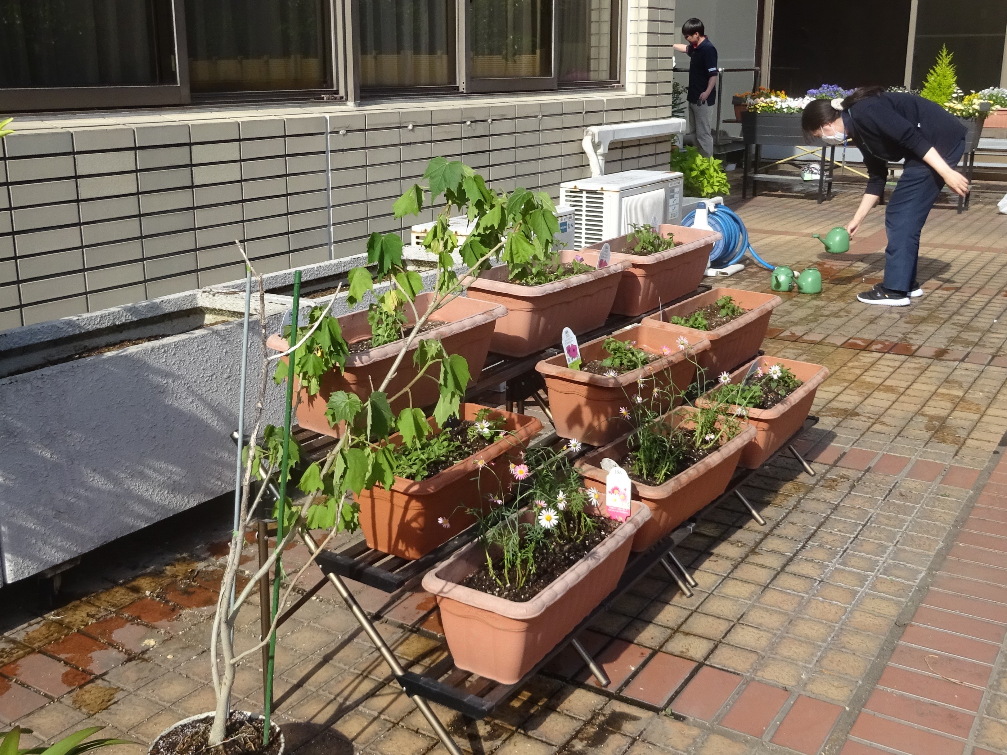 DSC04082 2.JPG
