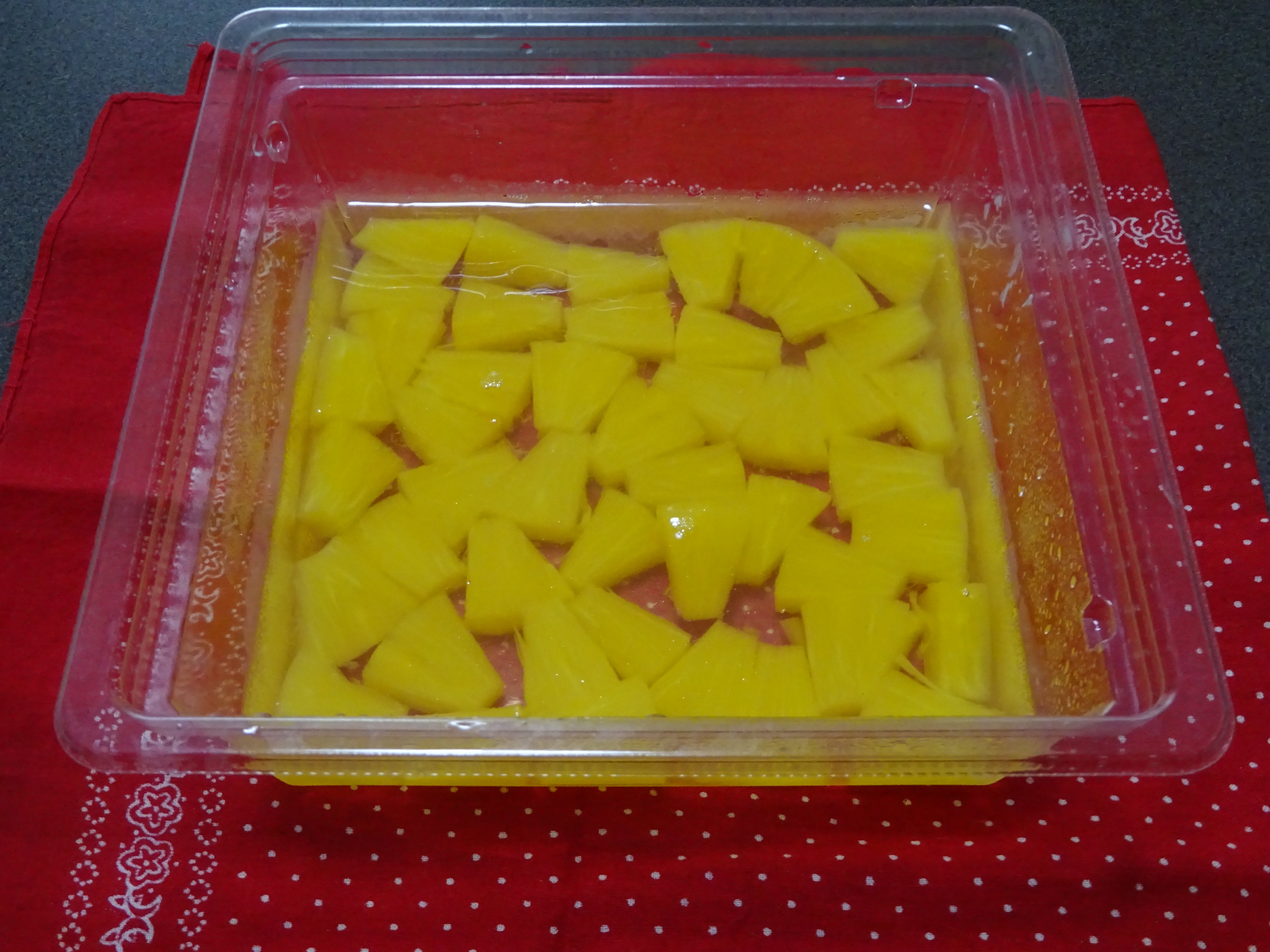 DSC04095.JPG
