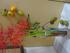 DSC03892.JPG