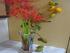 DSC03892.JPG