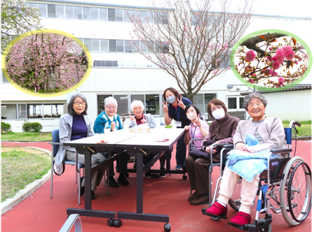 20250411図1.png