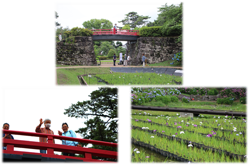 図3.png
