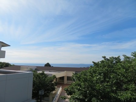 20250528図1.JPG