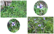 図1.png
