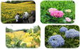 図4.png