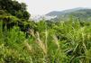 P8300135①.jpg