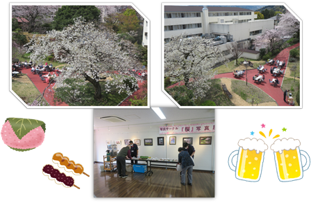 桜まつり②.png