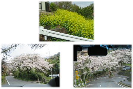 ドライブ②.png