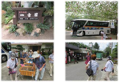 図2.png